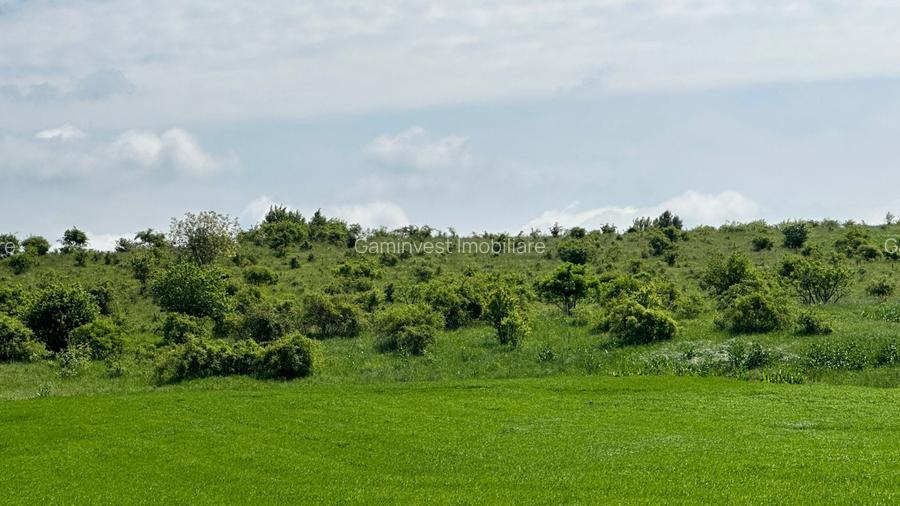 Teren Extravilan de Vanzare, zona Episcopia, Oradea, judetul Bihor - 6