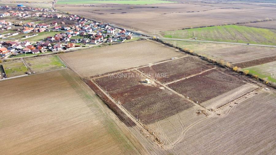 Terenuri Bucovat, cu utilitati – 58 euro/mp+TVA – in 2 rate - 4