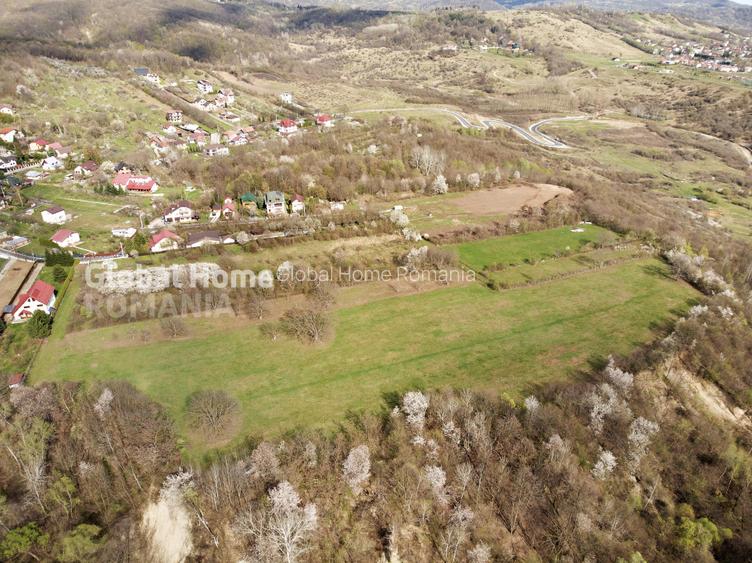 Mountain Plateau - 23.345 SQM - Exclusive Estate | Jud Prahova - Valea Prahovei - 10