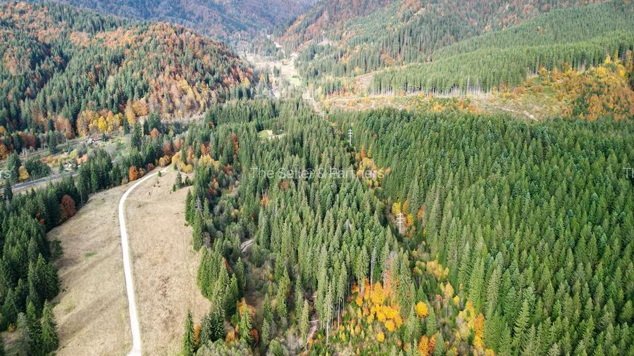 Poiana lui Manole - teren Intravilan - 25