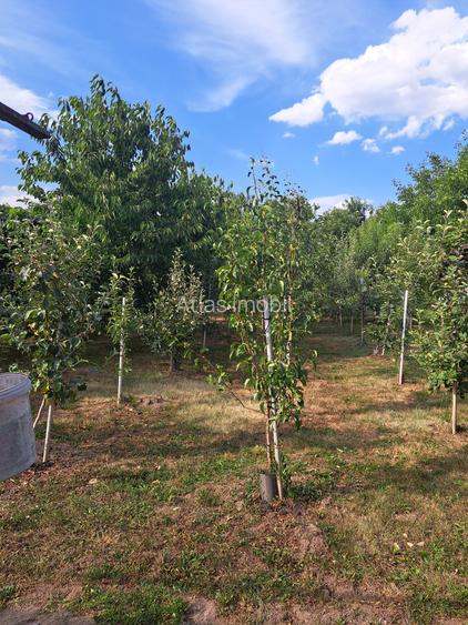 VILA IN REGIM DE INALTIME PARTER SI ETAJ ULTRAFINISATA PE 19 ARI TEREN - 13