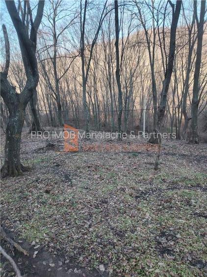 Teren intravilan zona Monteoru - 10