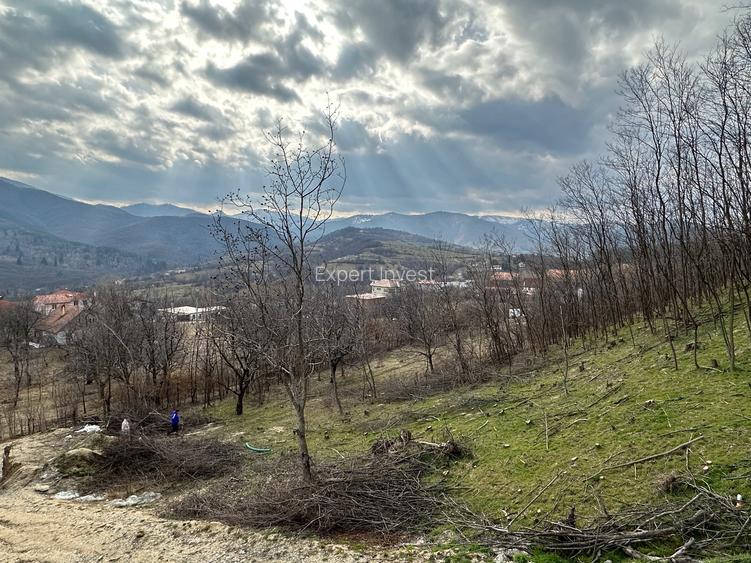 Teren intravilan 5.000 mp Cisnadioara / jud. Siibu - 6