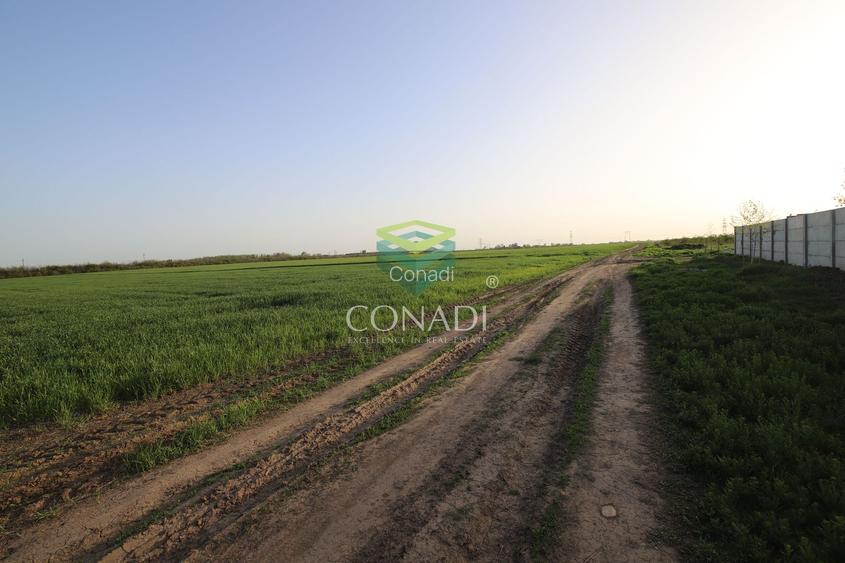 Teren Clinceni 5.792 mp - 3