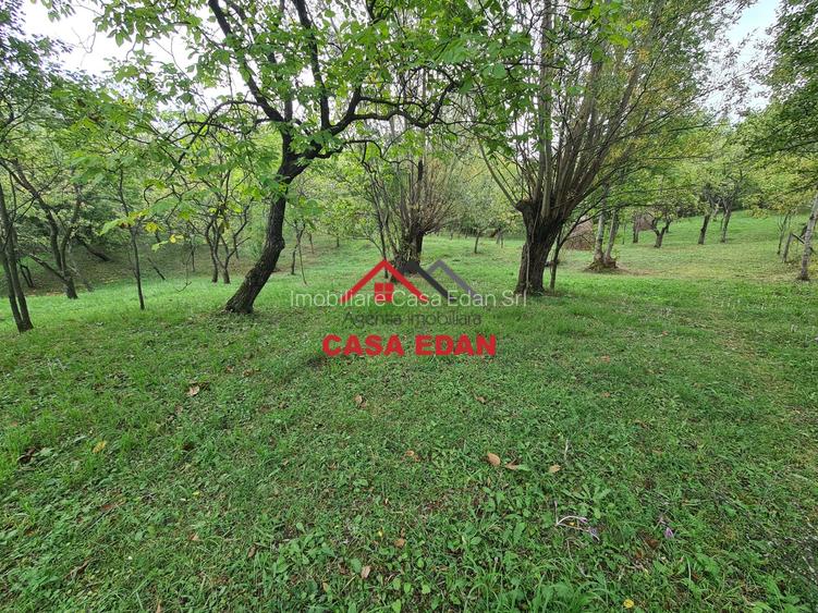 Teren intravilan in Sotrile--5991mp--10e - 3