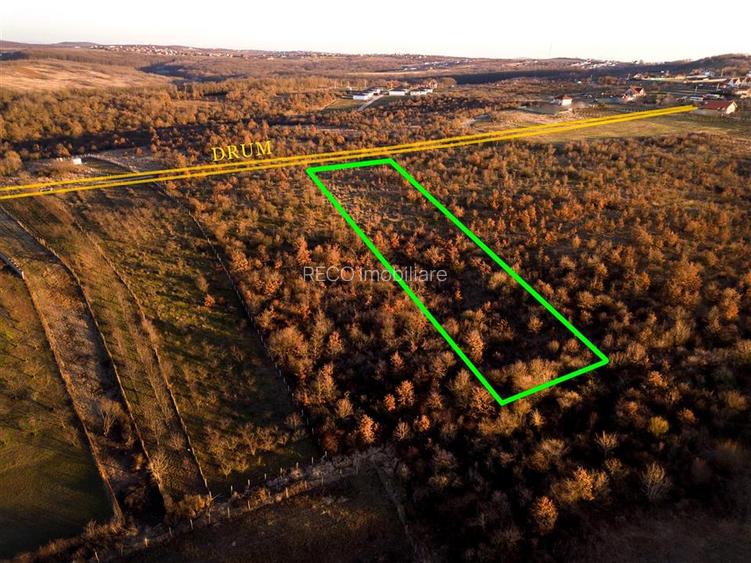 RECO Teren Intravilan 5305mp Paleu - 2