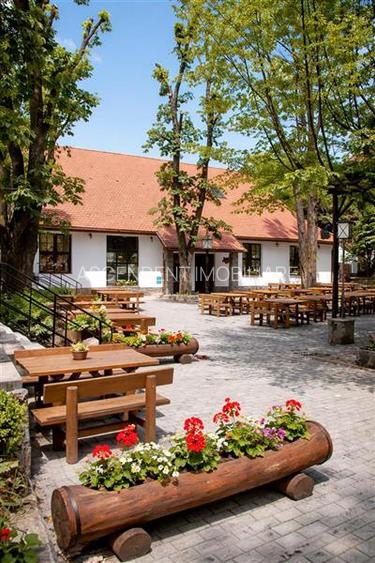 Complex Gastronomic:Afacere la cheie, Restaurant traditional secuiesc+teresa eve - 13