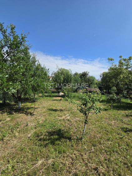 Casa de vanzare in Odoreu - 12