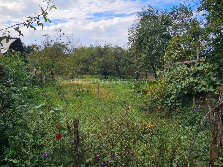 Casa curte si gradina - 6