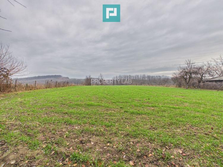 Casă 5 camere și anexe în Cuied - 3