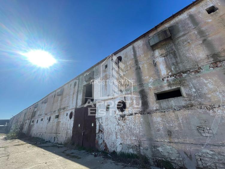 Hala P+E1 3000 mp utili, teren 2788, Dumbravita - 2