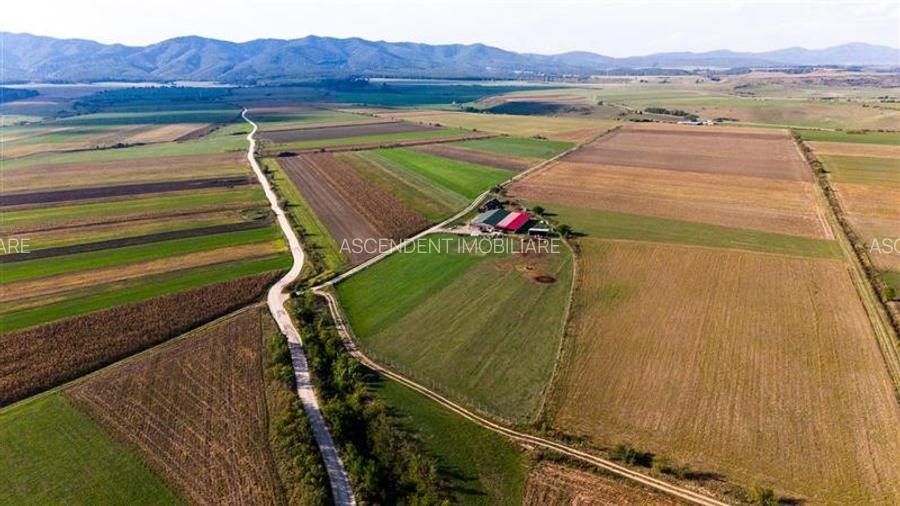 FILM! 18.000 mp, extravilan, agricol+ constructii:ferma,investitii agricole, Rot - 13
