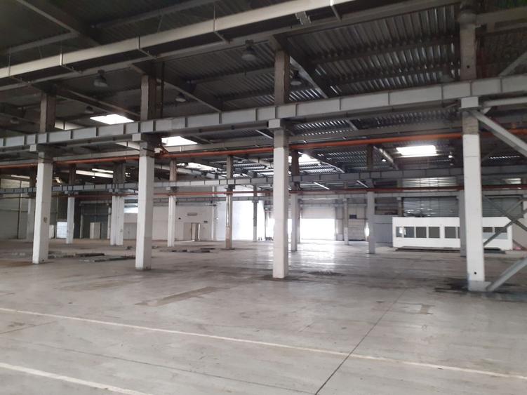 Hale in zona Drumul Taberei-Militari, suprafete diverse