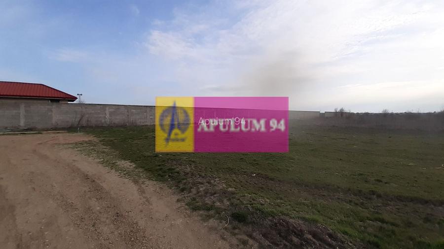 Parcelă lângă pădure în Ilfov - 3