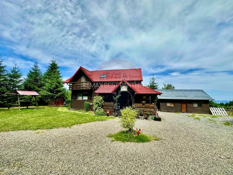 Pensiune/Cabana de vanzare, 6 camere, in Belis, Balcesti - 3