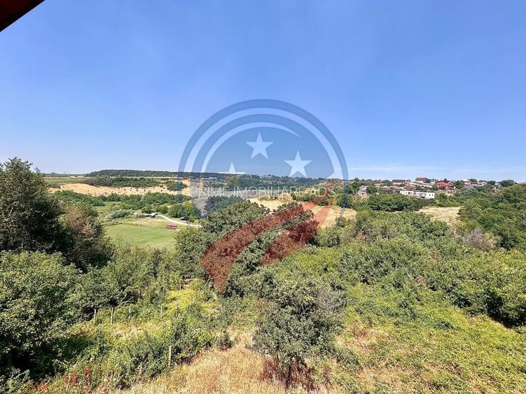 Vila cu 6camere de vanzare in Carcea/Dolj - 28