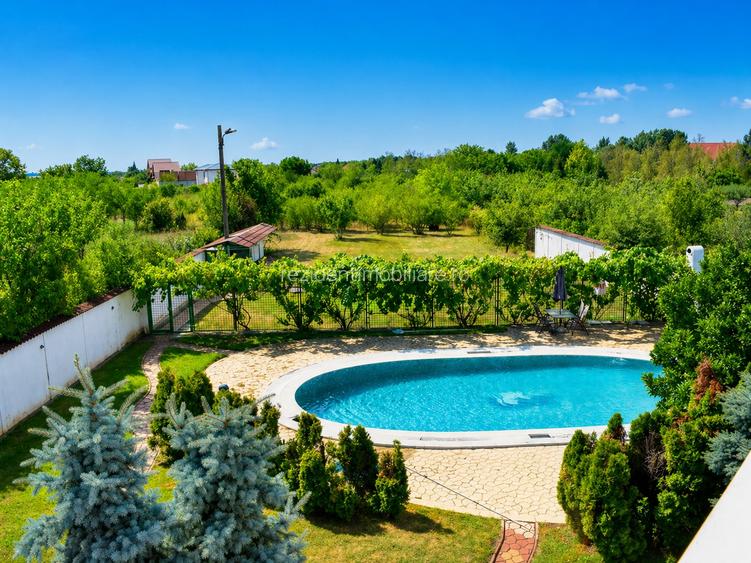 Vila superba cu piscina si gradina superba in Domnesti - 3