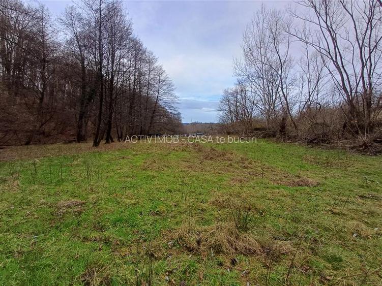 Resita, Teren Drept Intravilan, Langa Prau si Drum, Parcelabil, 4500 Mp., 15 Eur - 4