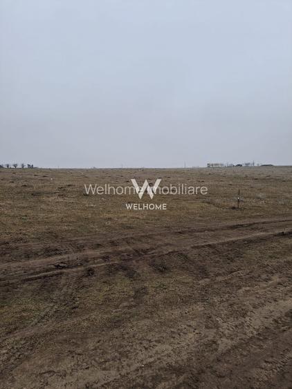 Teren intravilan 8.000 mp – Sibiu, zona Neppendorf - 2