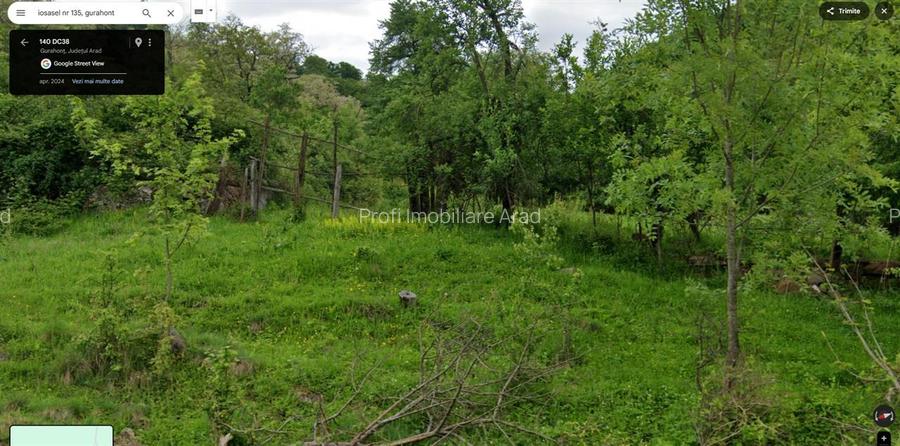 Loc de casa 1080 mp in Gurahont, cart. Iosasel - 4