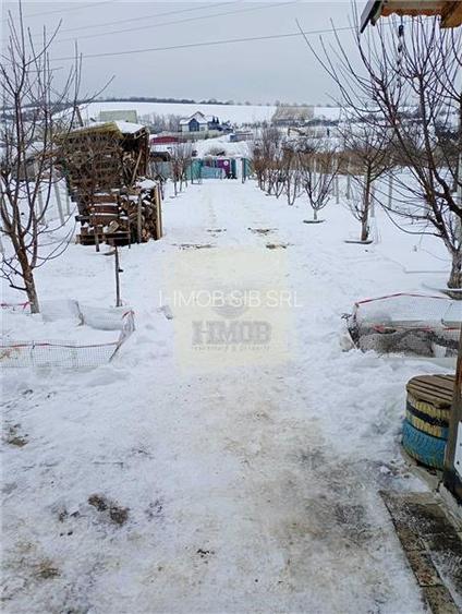 Teren cu apa si curent 700 mp in Sura Mare - 9