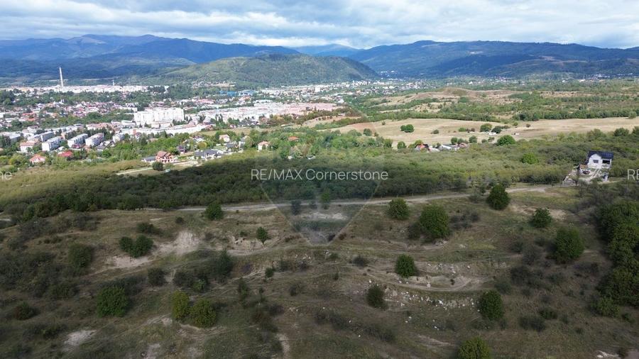 Teren de vânzare in Campulung-Muscel -  33598 mp - 4