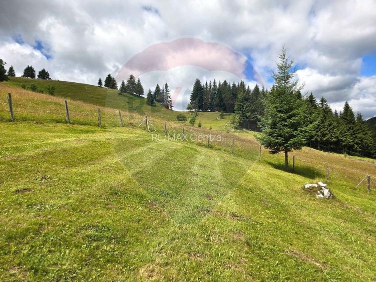 Teren de vis în Fundata 1934mp sau 3868mp, la înălțimea sufletului tău - 13