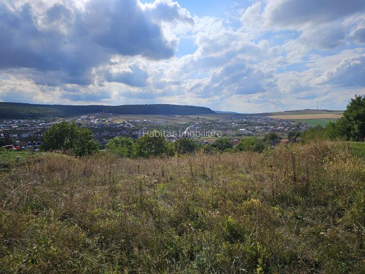 Teren cu autorizatie pentru doua case in Chinteni - 8