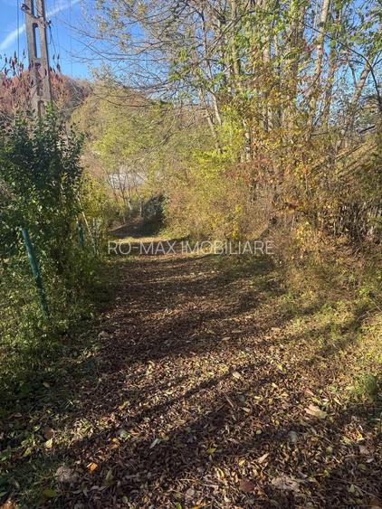 Teren langa pădure 6400mp+casa demolabila-deschidere 35 ml - 14