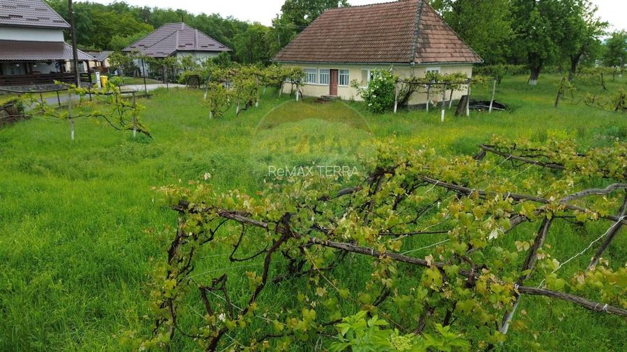 Casa cu teren De Vanzare in Ariesul de Padure - 9