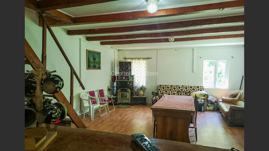 Casa de vacanta perfecta pe malul Cernei  - 9