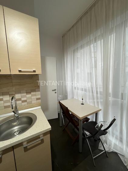 2 camere One Herastrau Park, mobilat, parcare! - 11