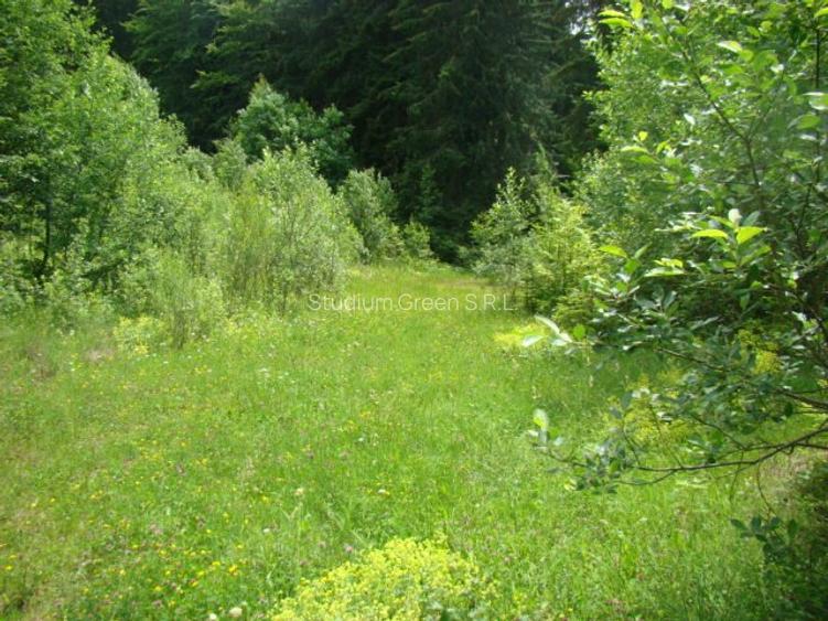 Proprietar vand teren in Predeal langa Complex Belvedere-Verona- Eden-comision 0 - 10