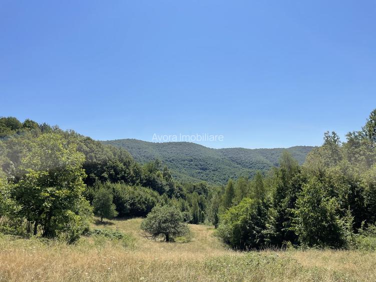 Teren Extravilan în mijlocul naturii. - 12