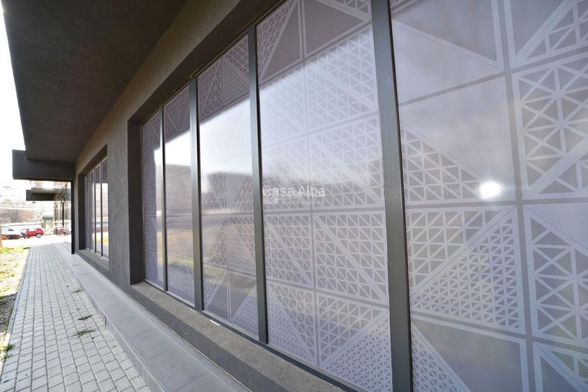 Alexandru cel Bun, spatiu excelent pozitionat, S+P, 800mp construiti - 14