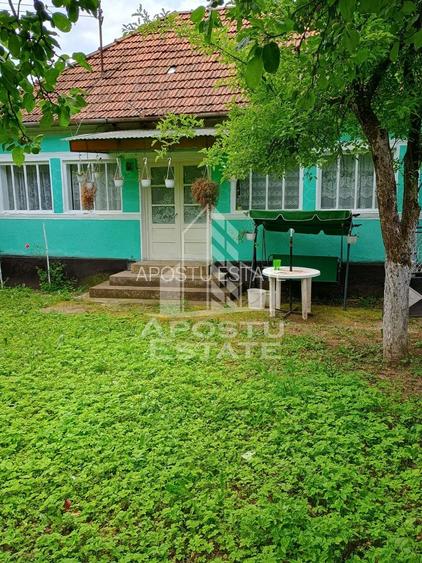 Casa batraneasca de vanzare, 4 camere, in Hunedoara, sat Micanesti - 40