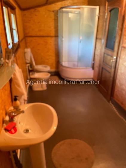 Imobil (comercial + locuit) Maracineni - Argeselu, teren 600mp - 8