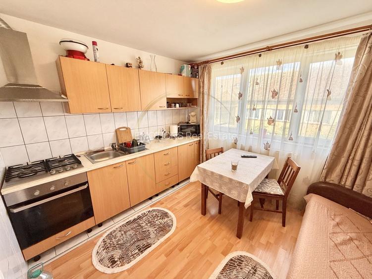 Garsonieră practică și accesibilă în zona Buziașului - 3