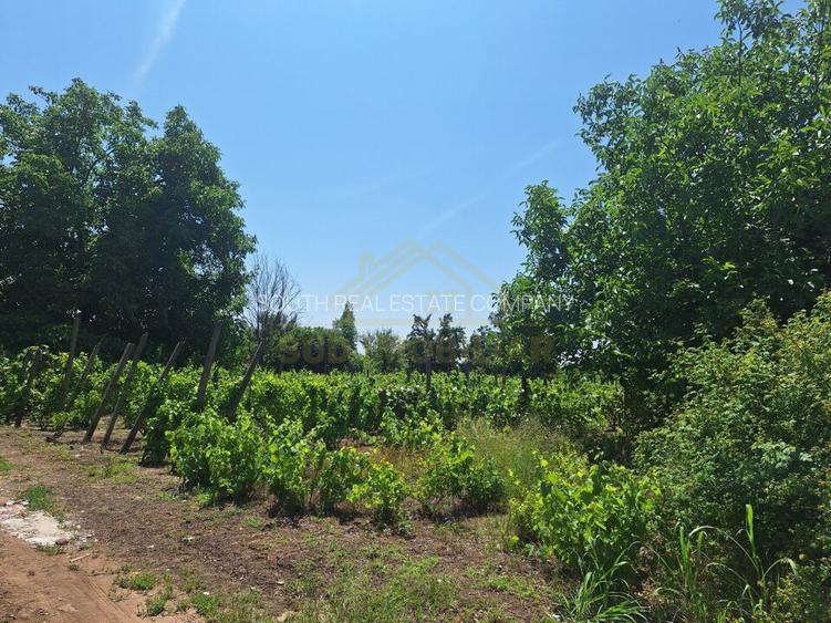 TEREN INTRAVILAN-1000 MP-ZONA STR.SCOLII - 2