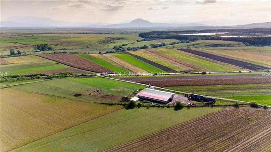 FILM! Zona extinsa, teren mixt,18.000 mp, ideal agro-investitii, Rotbav, Brasov - 5