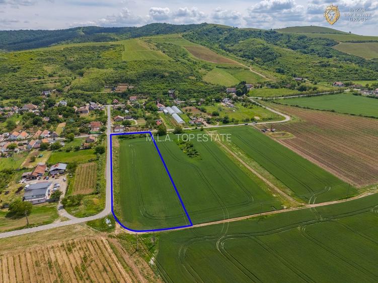 De vanzare teren intravilan Minis - 2