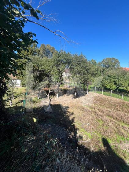 Casa  autentica cu potential de investitie – Poiana Sibiului - 15