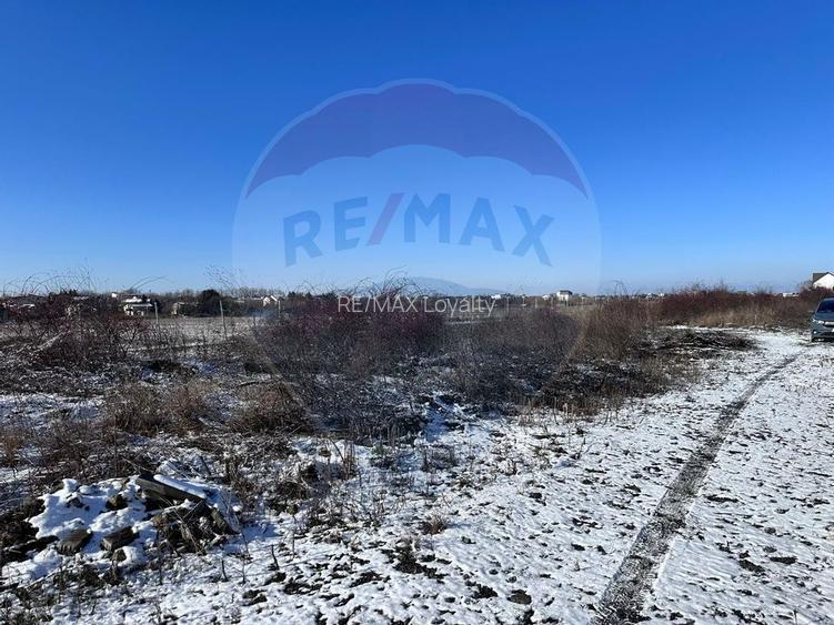 Teren intravilan 500mp, langa lac, acces drum principal - Corbeanca - 2