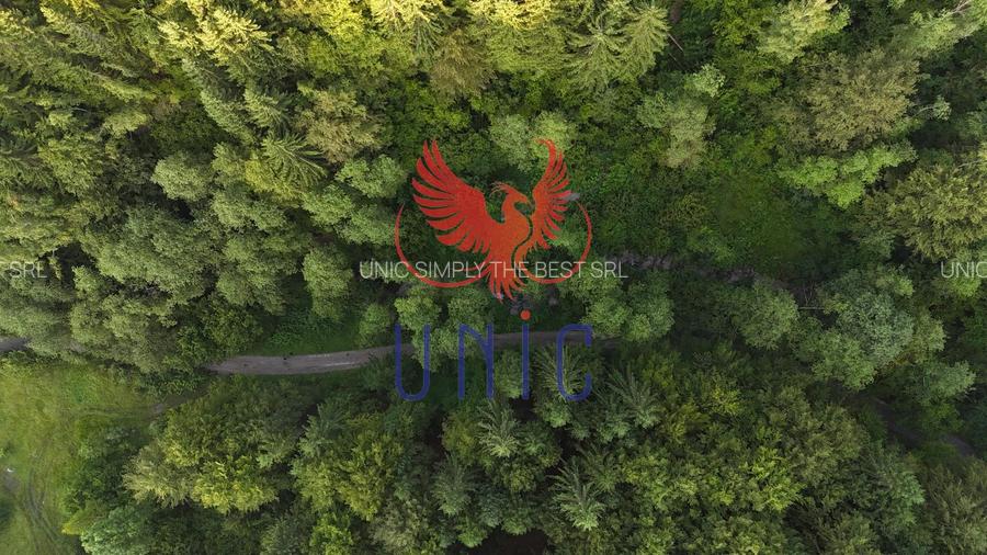 18000 mp de natura pura ,Lupeni, langa Straja - 21