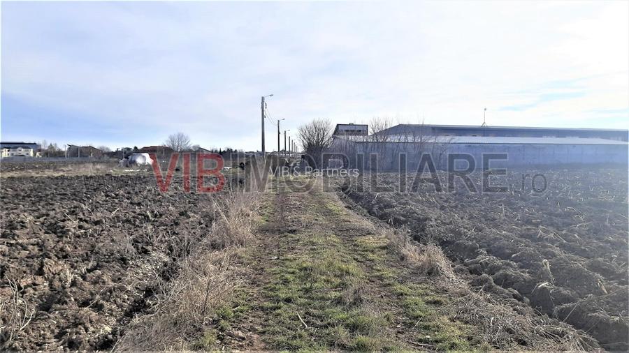 Otopeni - Strada Alexandru Ioan Cuza - 7