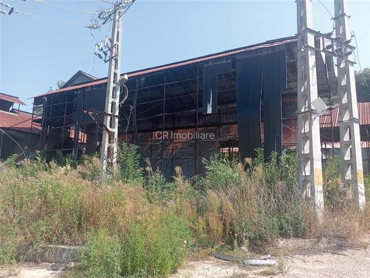 Spatii industriale pe teren de 11000 mp Daesti Valcea - 6