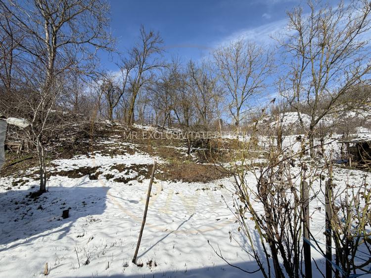 Casa Traditionala Priboieni Arges - 18