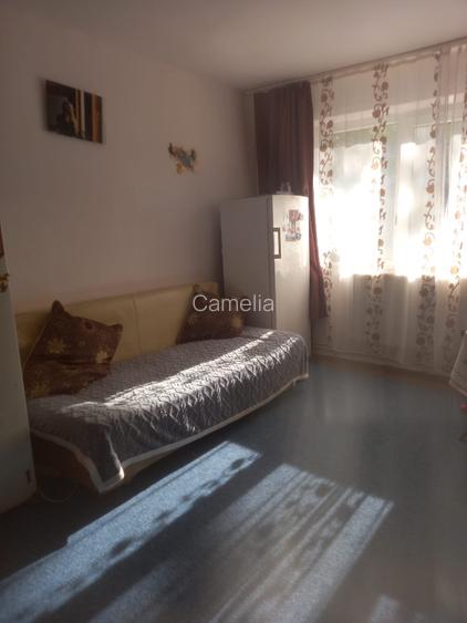Inchiriez apartament doua camere Blascovici - 12