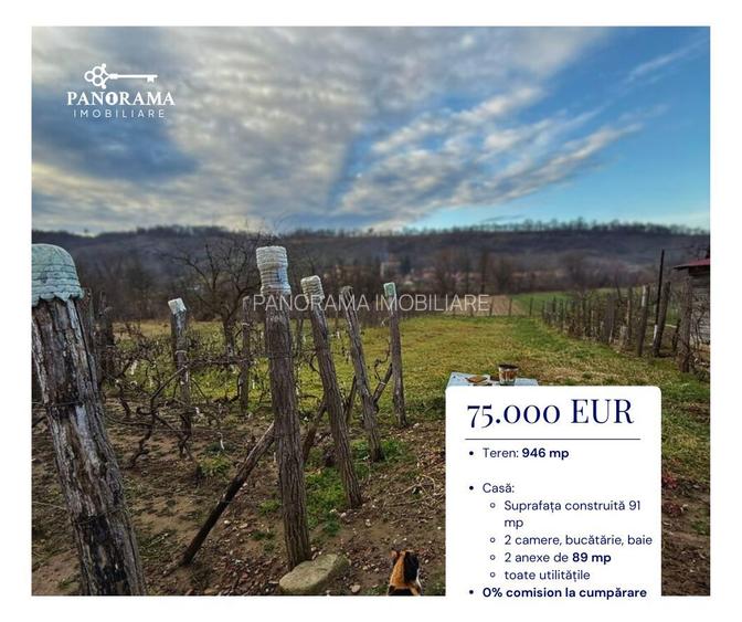 Casă de vânzare în Laslea-gospodărie autentică în inima Transilvaniei - 2