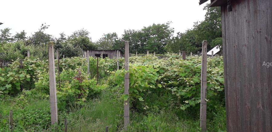 Casa renovata in Bucecea - 8